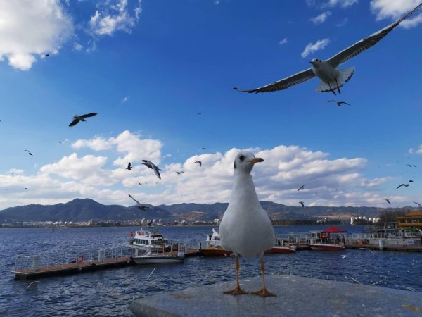 信钰配资 合肥之后，下一个千万人口城市是谁