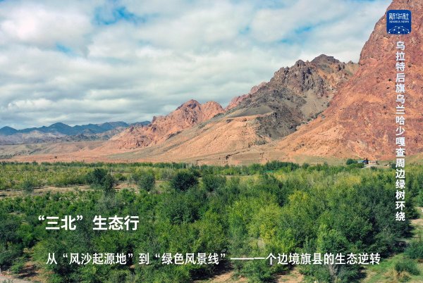 永宝网 “三北”生态行：从“风沙起源地”到“绿色风景线”——一个边境旗县的生态逆转