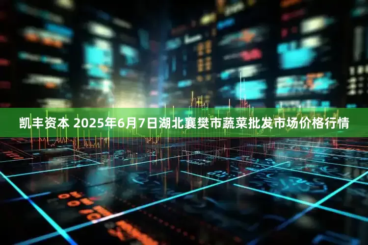 凯丰资本 2025年6月7日湖北襄樊市蔬菜批发市场价格行情
