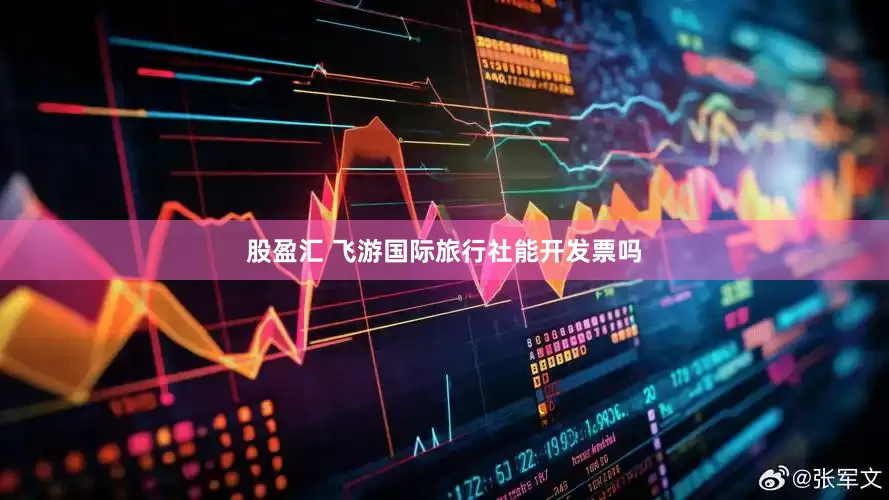 股盈汇 飞游国际旅行社能开发票吗